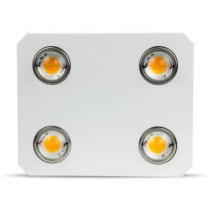 High Ppfd Super Energy Saving 600W Fullspectrum Citizen COB Greenhouse LED Plants Grow Light Kit