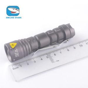 New Arrival Bright Mini LED Torch Rechargeable Flashlight (SS-8028)