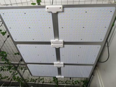 Samsung LED Grow Lighting Service with Farm UL Certification