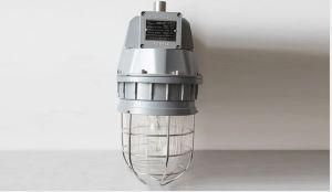 Explosion-Proof, Corrosion-Proof Light (HID)
