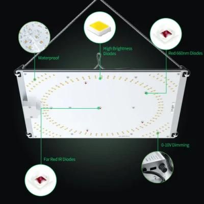 Wholesale LED Grow Panel Grow Lighting Dimmable 100W Full Spectrum LED Plant Grow Light Greenhouse Grow Light for Tomatoes