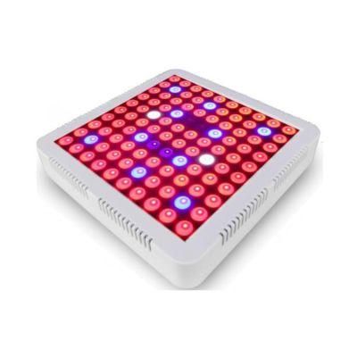 Full Spectrum 85-265V Plant 300W LED Grow Light