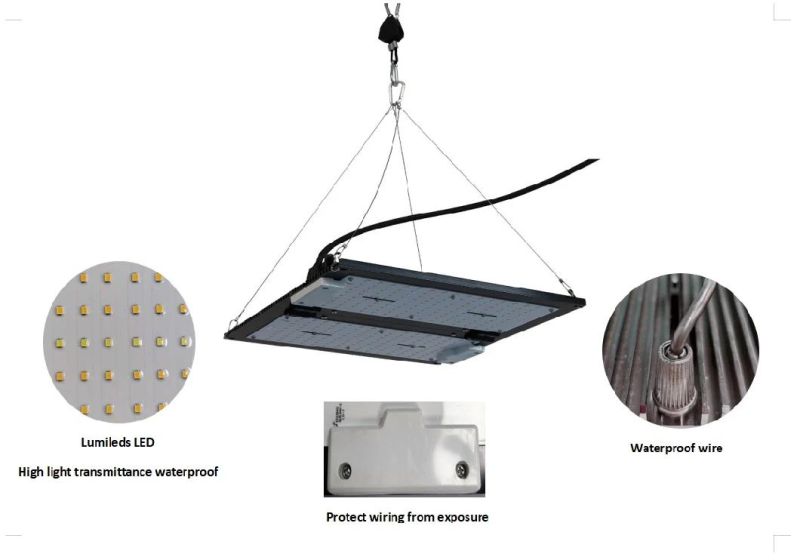 120W LED Grow Light for Indoor Plants, Horticulture Light for Indoor Farming, Dimmable LED Light, FCC, RoHS