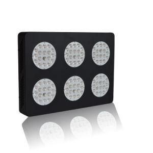 New Grow Light LED 300watt LED Grow Light Znet-6 LED Grow Light