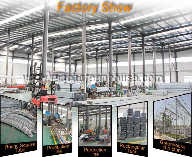 Plant Growing Greenhouses of LED Light
