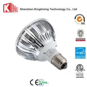 COB 38/80 Degree Beam Angle Spotlight LED PAR30