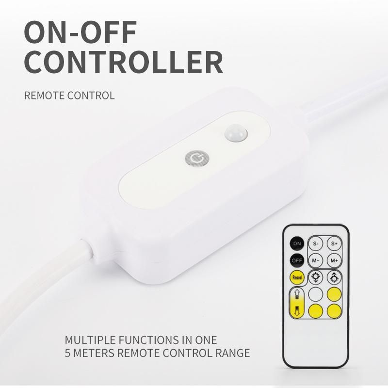 LED Rope Lights Cool White And Warm White Color Changing Remote Control Lights