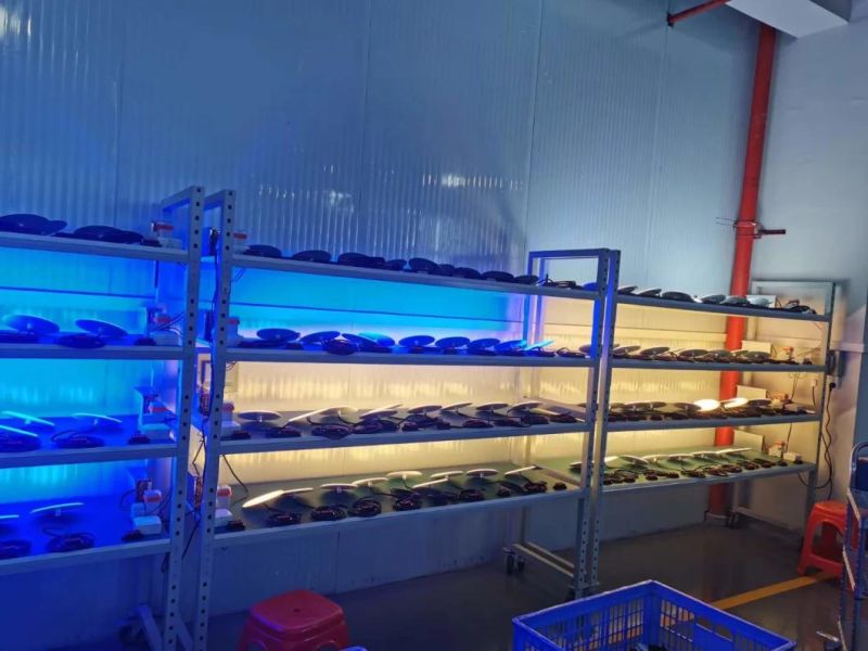 Ultra Thin 25W IP68 Underwater LED PAR56 Swimming Pool Light Surface Mounted Pool Lamp Dongguan Factory