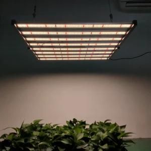 Custom 10 Bar 1500W Grow Light Lamp 1500 W Watt Full Spectrum LED Grow Light for Indoor Plants