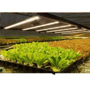 China Factory Hydroponic Full Spectrum 1000W Lm301b Foldable LED Grow Light