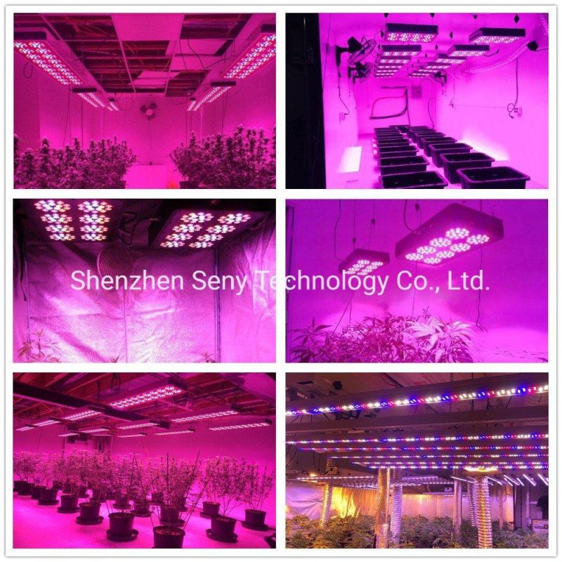 270W High Power Flower Plant LED Grow Lamp Factory