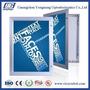 HOT: Waterproof Outdoor LED Light Box-YGW42