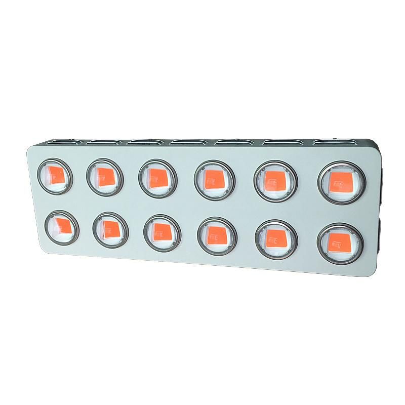 Ce RoHS FCC PSE Certification 1200W COB LED Grow Light for Medical Plants