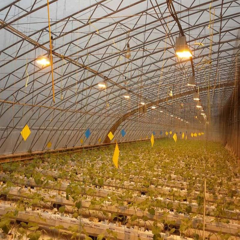 LED Grow Light Lighting System for Agriculture Greenhouse