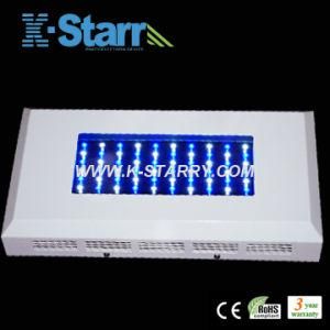 60W Marine Aquarium LED Light (KS-AL-02)