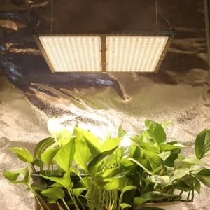 Professional Full Spectrum Lm301b LED Quantum Board Grow Light for Indoor Greenhouse Lighting