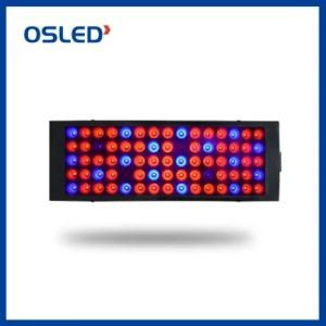 UV IR Indoor Plants Veg and Flower 100W Greenhouse Full Spectrum LED Grow Light Epistar LED Grow Lamp