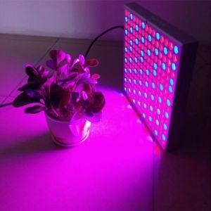 Grow Lighting China Supplier 14 Watt LED Grow Lights LED Light for Hydroponic Systems