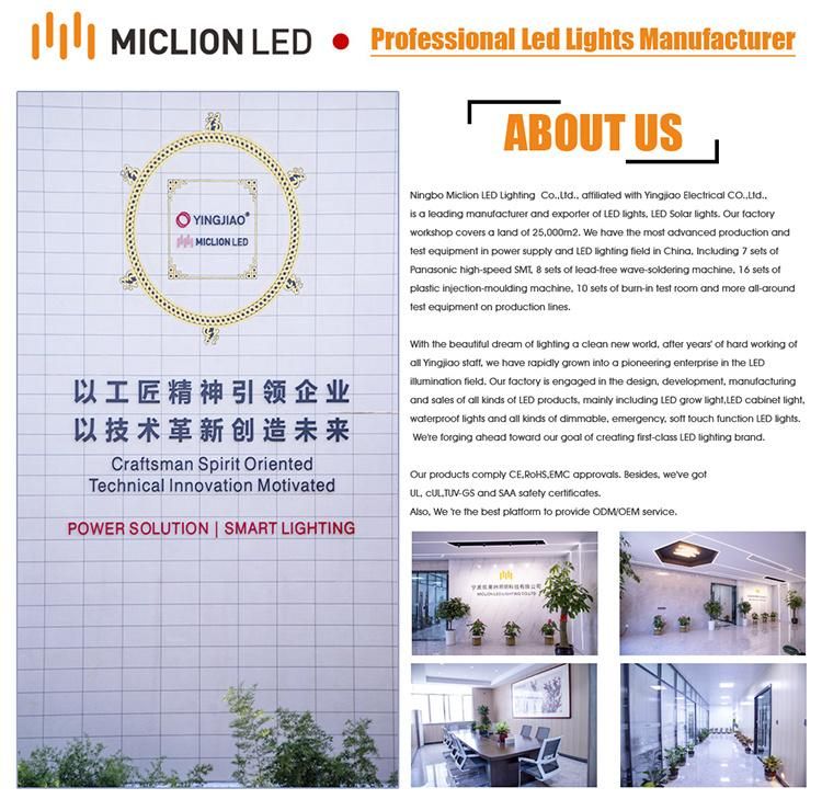 Factory Custom Motion Sensor LED Kitchen Cabinet Light Lightings China Manufacturer