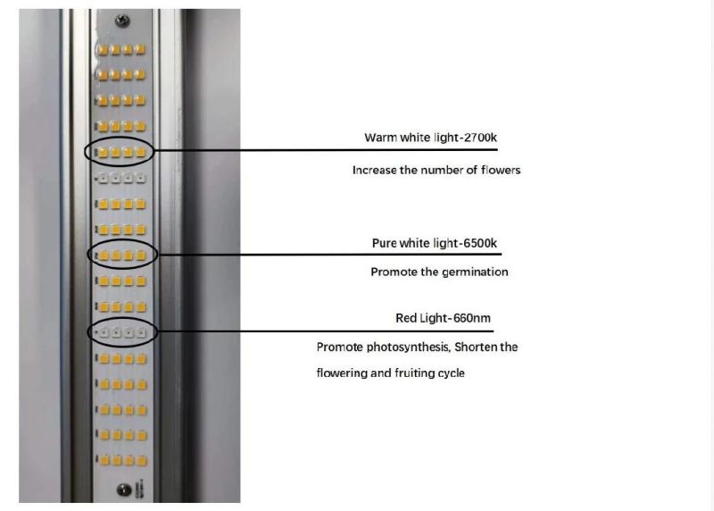 2021 The Newest 800W Commercial Dimmable and Timing Hight Ppf Full Spectrum Optional LED Grow Light with UV/IR Bars