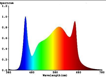 OEM ODM Full Spectrum 600W Grow Lamp LED Grow Light for Hydroponics