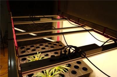 Latest Design UV LED Grow Lights