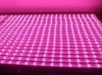 2015 Hot Sell Full Spectrum (400-840nm) T8 LED Grow Light for Vegetables