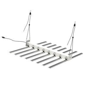 Samsung Epistar High Power Full Spectrum 800W LED Grow Light for Plants Growth