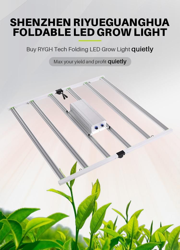 High Ppfd Big Chip Diodes Full Spectrum 6 Bars 600W LED Grow Light