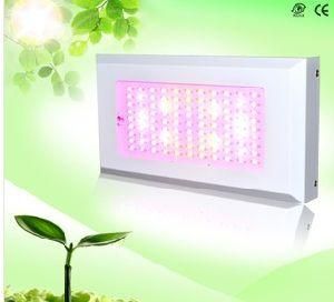 Full Spectrum 300W Hydroponic Grow Light, Indoor Plant Light
