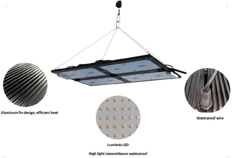 Full Spectrum Waterproof LED Grow Light Panel 240W for Veg Bloom with UL & RoHS
