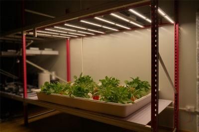 Greenhouse Vertical Farming Dimmable 650W LED Grow Light