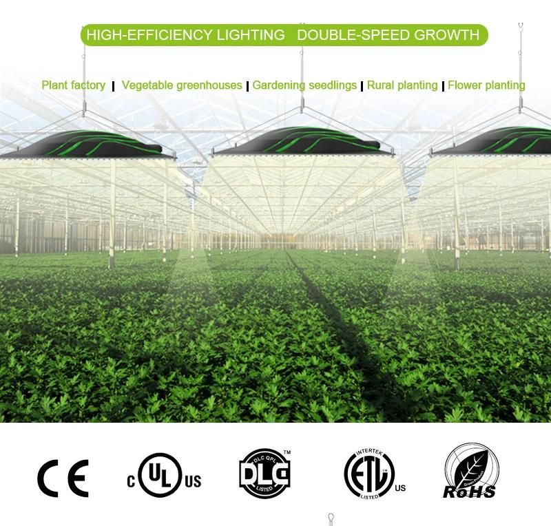 Greenhouse Indoor Vertical Farm Factory Price Full Spectrum LED Grow Light Grow Light LED Plant Grow Light