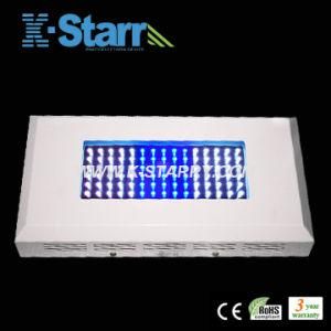 90W Marine Aquarium LED Light (KS-AL-03)