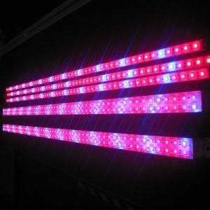 IP65 Waterproof 660nm Red 450nm Blue COB Full Spectrum Transparent Waterproof Tube T8 Replace LED Grow Lights