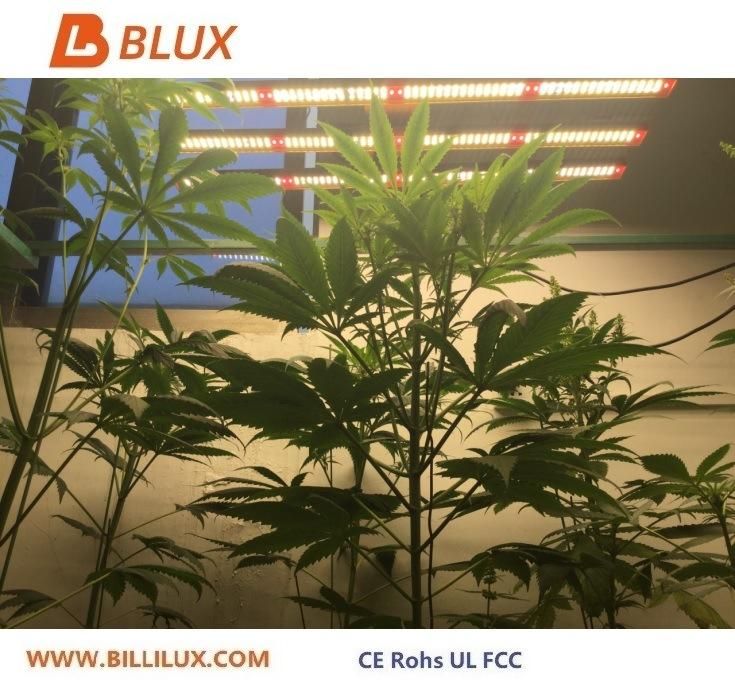 Full Spectrum High Power Adjustable LED Panel Tri-Proof Light High Bay Linear High Bay Flexible Strip Light 200W/400W/600W/700W/800W/900W/1000W LED Grow Light