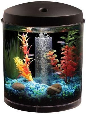 Aquarium Kit