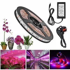 Full Spectrum Red Blue 3: 1 4: 1 5: 1 6: 1 7: 1 9: 1 Rope LED Grow Light Strip for Plants