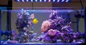 Intelligent LED Aquarium Light