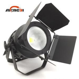 200W Waterproof IP65 COB Outdoor PAR Can LED PAR Light