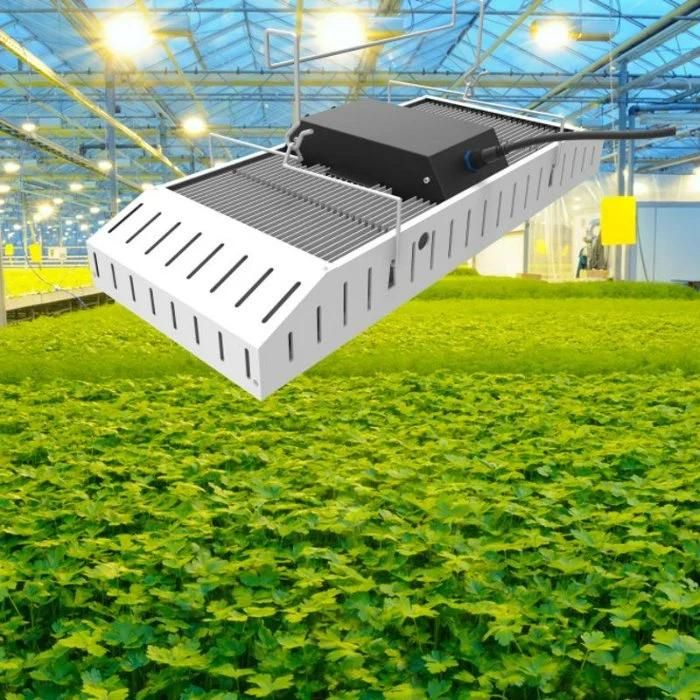 High Quality Aluminum IP66 Rygh 800W Industrial LED Grow Light Top-800wf