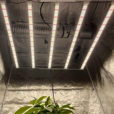 Qb Vertical Grow Systems LED Samsung Lm301b 730W Qb Grow Lights Grow Light Lm301h Waterproof LED Grow Light