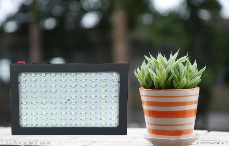 Super Power 300W Chloroba2 LED Grow Light with Full Spectrum