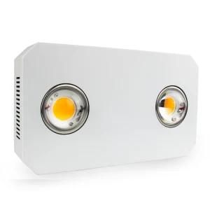 World Famous Citizen COB LED 300W 3500K 5000K Full Spectrum LED Grow Light for Greenhouse