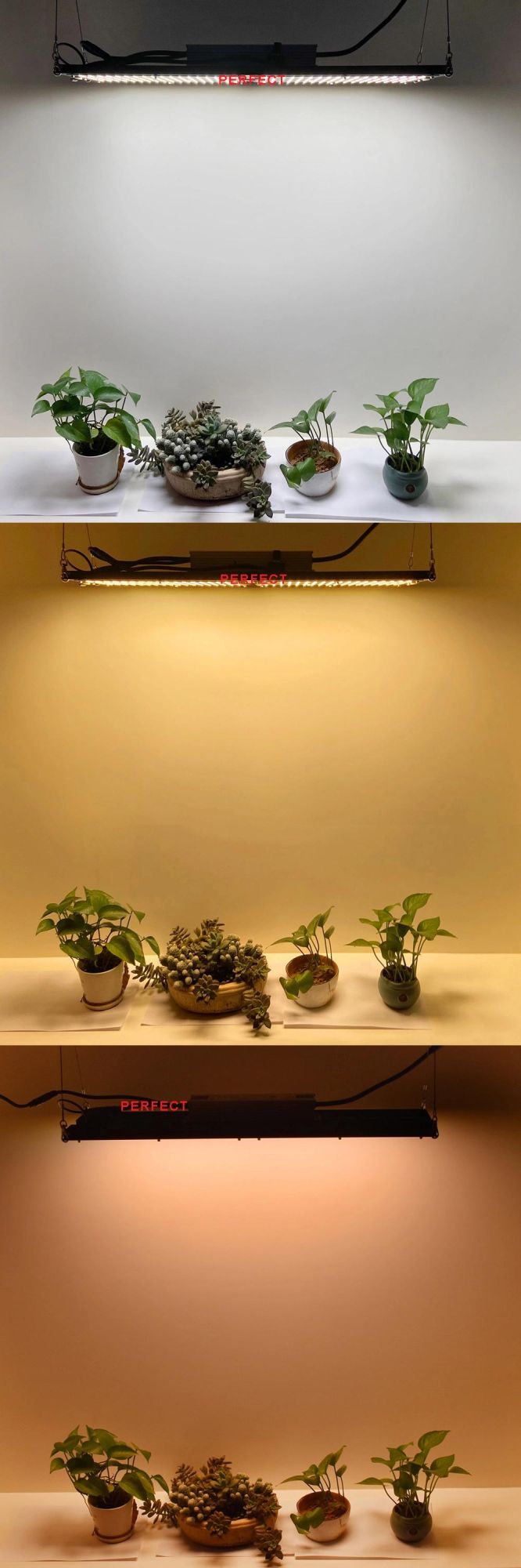 Wholesale Fast Delivery LED Lighting Lm301h 240W Best LED Grow Lights