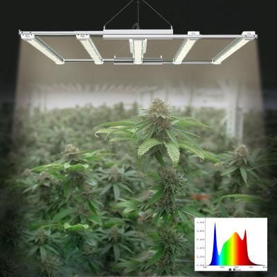 High Ppfd and Efficacy LED Horticultural Hydroponics Plant Grow Light