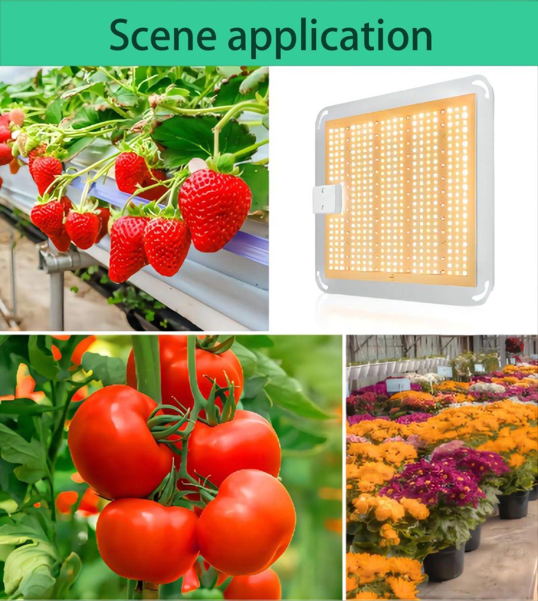 400W LED Plant Grow Lights for Farm Greenhouse with 3 Years Warranty UL Certificate