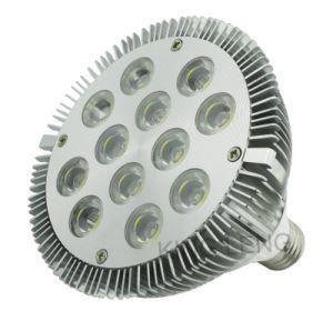 PAR38 LED Spot Lamp (12-24W)