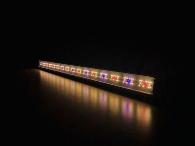 ISO Manufacturer 2020 LED Grow Light for Veg/Bloom