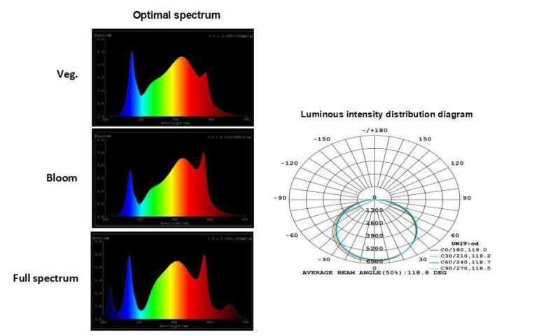 Samsung Lm301b/H 6 Bars Spider PAR Lamp Full Spectrum 660nm LED Grow Lights for Indoor Plant (640W 800W 1000W)